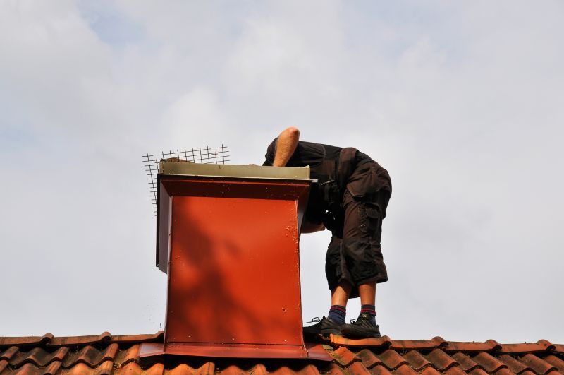 Chimney Inspecting