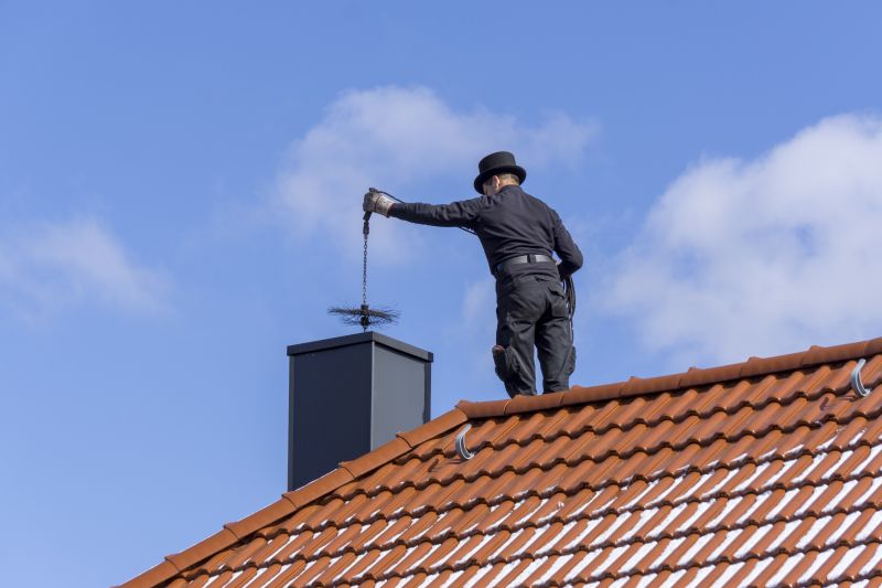 Chimney Inspecting